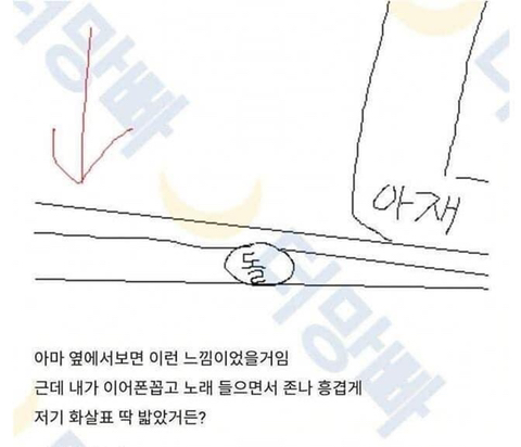 Korean community post, image 3: From the side it looked like this.