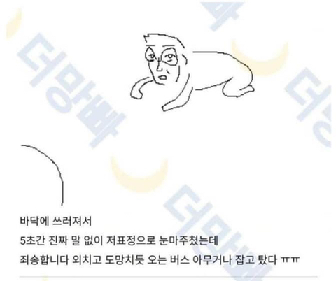 Korean community post, image 5: He lay there making that face, silently locking eyes with me for 5 seconds.